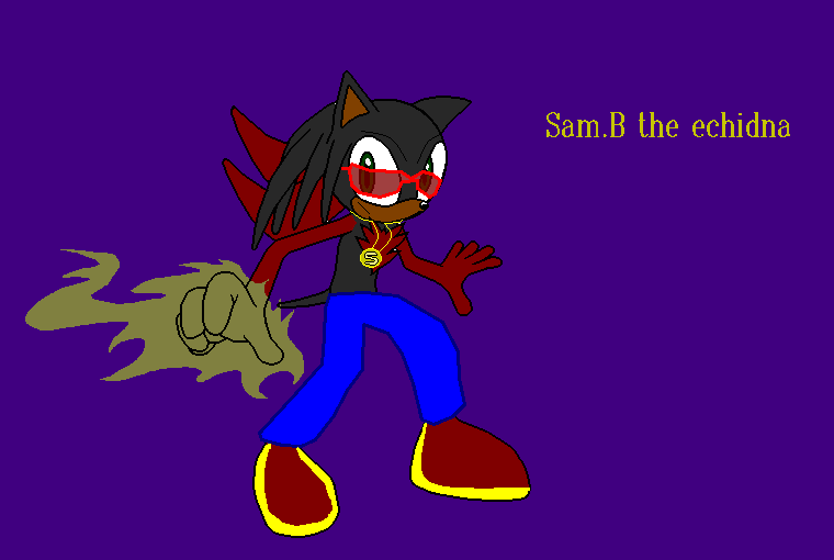 Sam.B the echidna