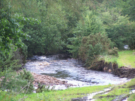 Bog River