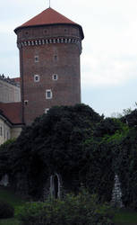 Castle in Cracow