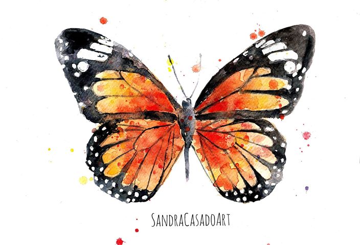 Butterfly watercolor