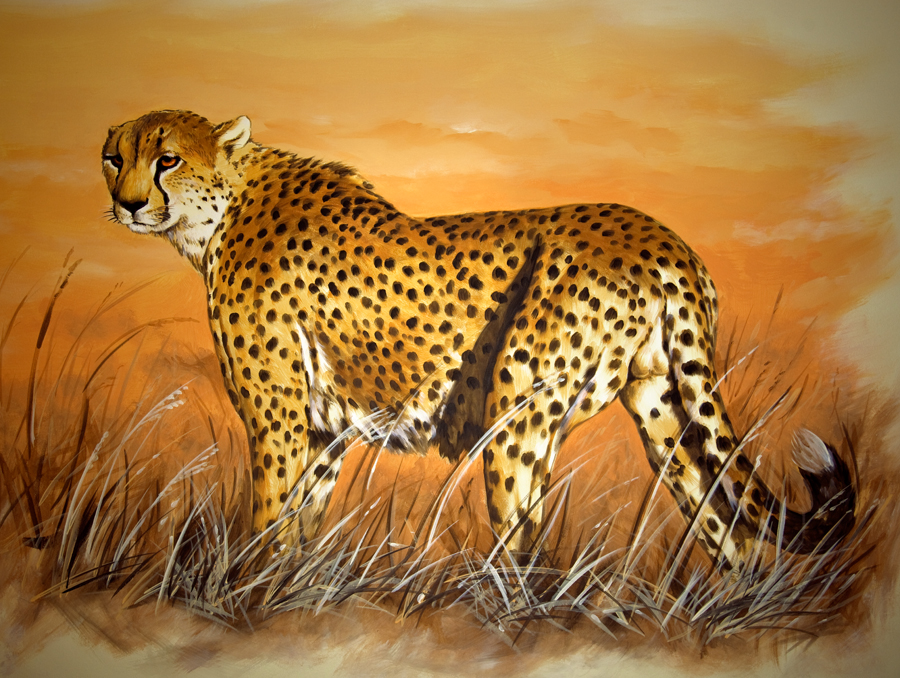 Gepard 60x80