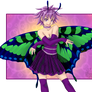 Butterfly with clothes