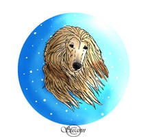 Afghan Hound -  Gift