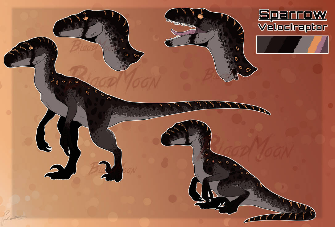 Jurassic World Park Velociraptor Adoptable CLOSE By 1BloodMoon1 On jurassic-world-park-velociraptor-adoptable-close-by-1bloodmoon1-on