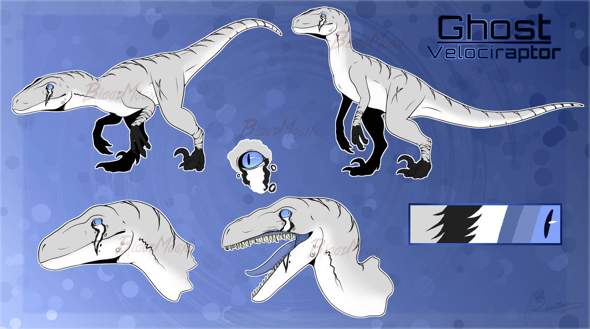 Another JW/JP Raptor Adoptable (CLOSED) by 1BloodMoon1 on DeviantArt