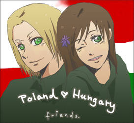 Poland x Hungary_id contest