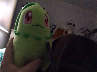 I caught a chikorita!!