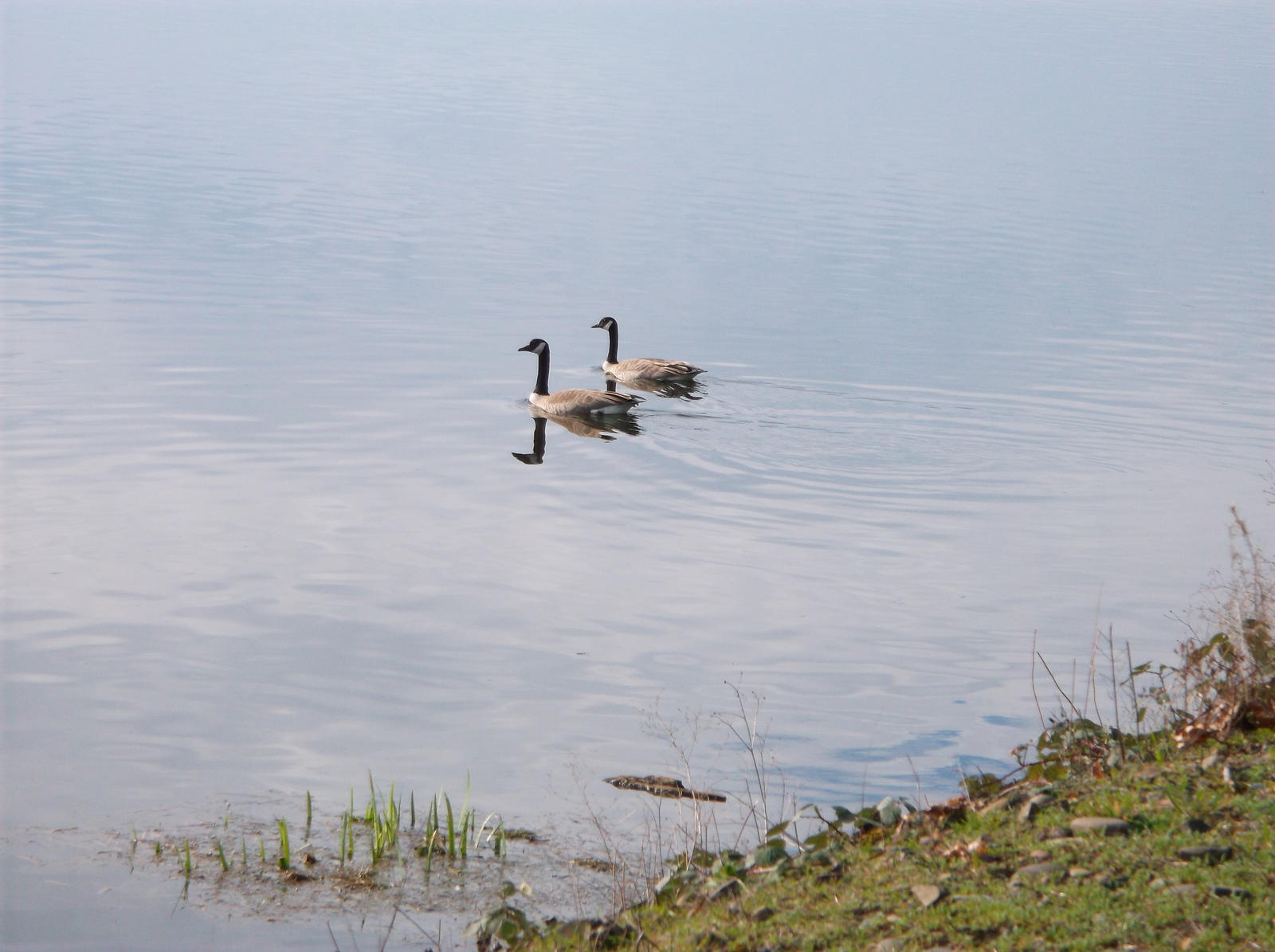 Away from the Dock