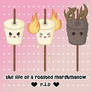 Life of a roasted marshmallow