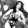 Wonder Woman inks