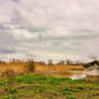 Swamp - Le Pellerin - France