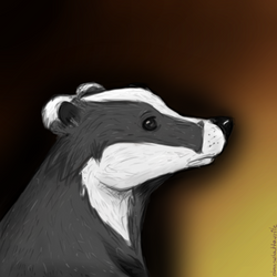 Badger