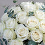 White bouquet of roses nature wallpaper (9)