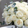 White bouquet of roses nature wallpaper (8)