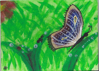 leisure painting 2 summer '13 (Butterfly)