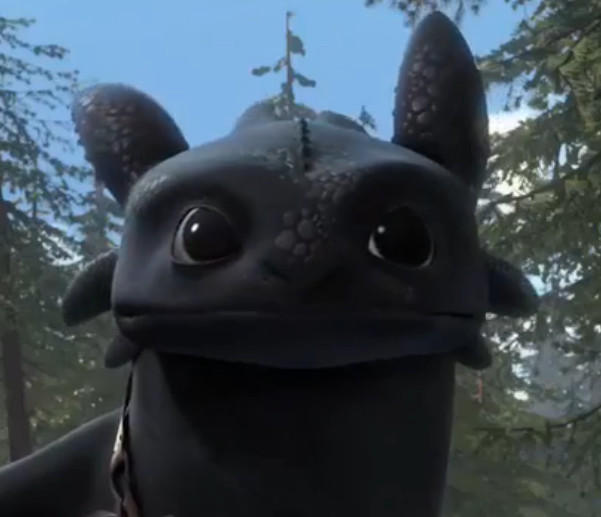 Toothless screenshot by zippymom97 on DeviantArt