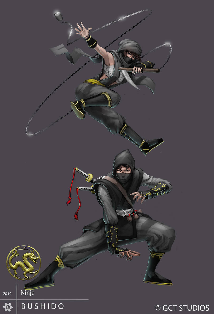 Ninja by Pechan