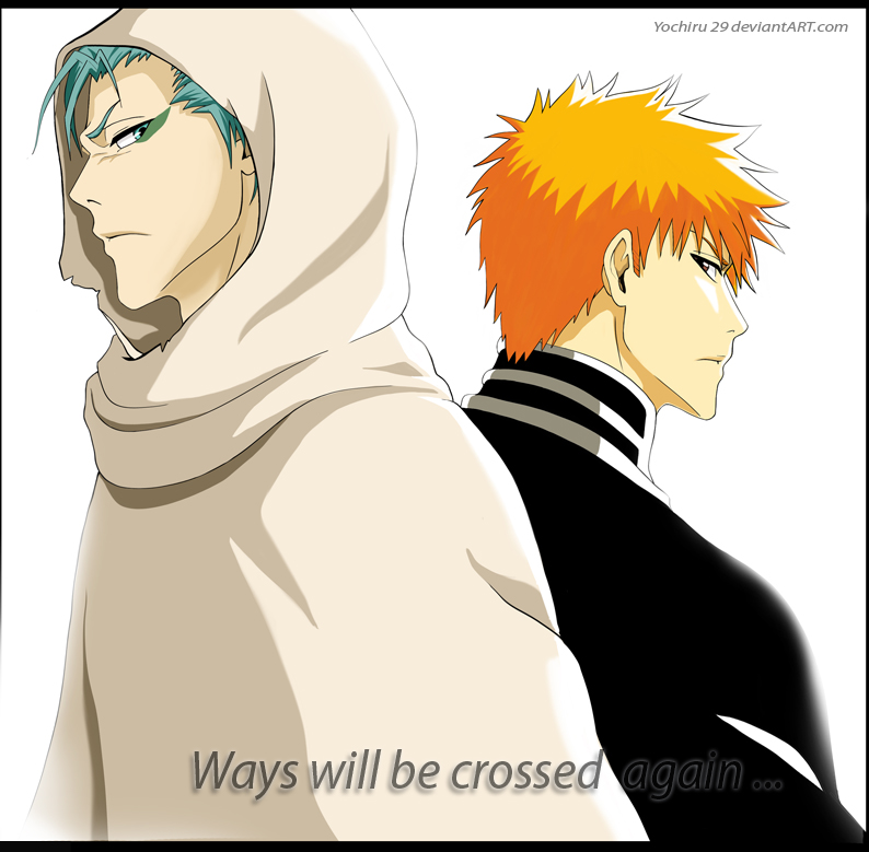 Bleach  Ways will be crossed again ...