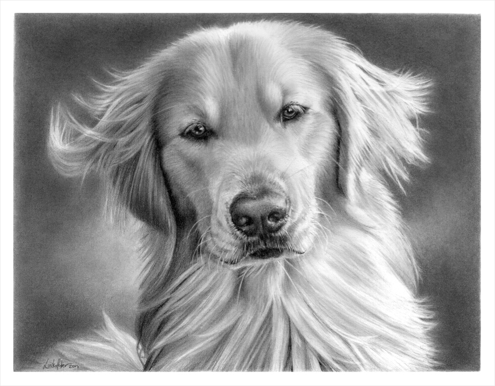 Portrait of Dakota by imaginee