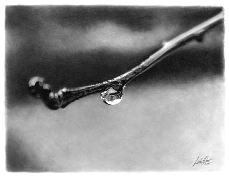 Droplet