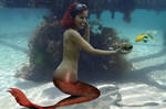 Mermaid Melusine and Friend