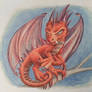 Drache (5)