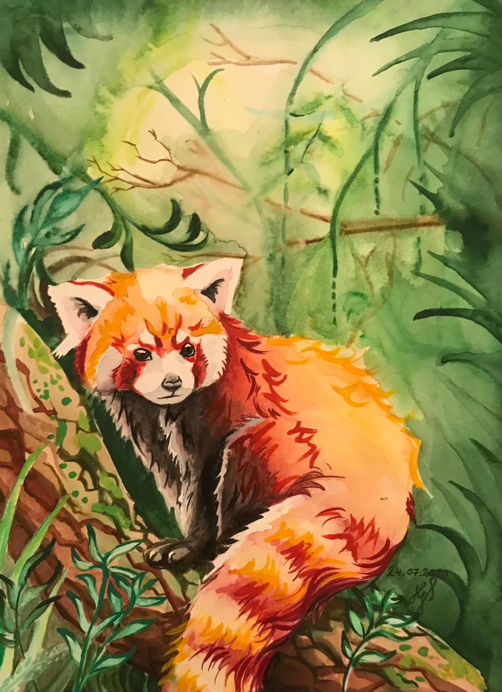 Red Panda by ZiskaJa on DeviantArt