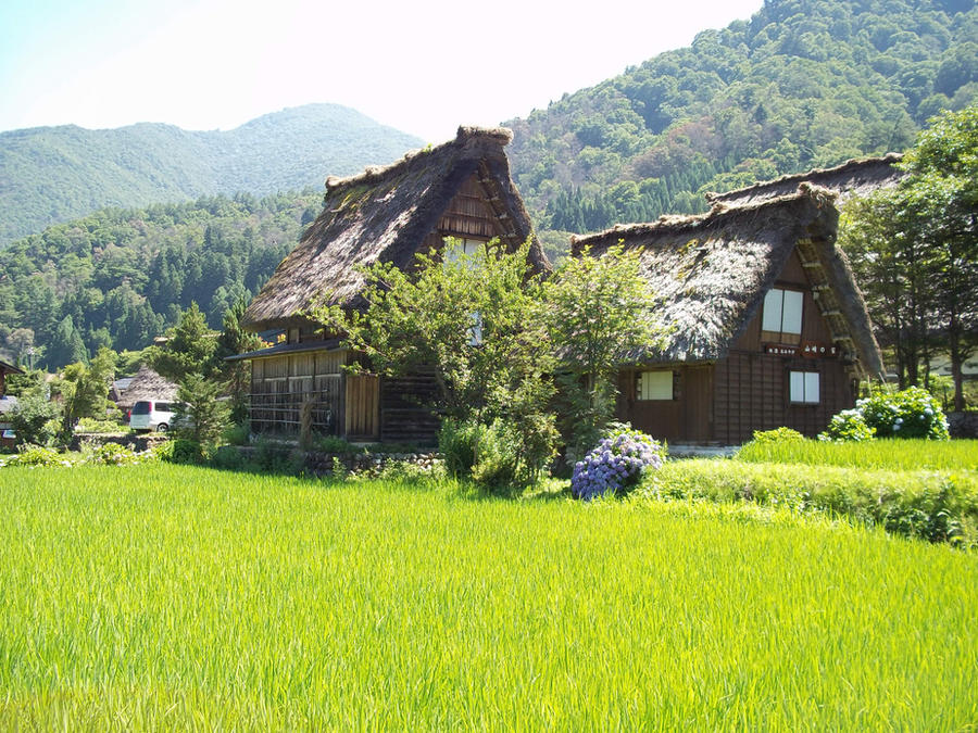 Texture Rice Building Rice and Buildings by NinjaShteve on DeviantArt