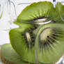 Kiwi Refrac.