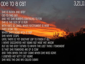 Ode to a Cat