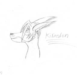 Kiraeden Concept Drawing