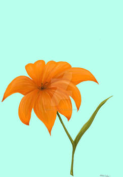 Orange flower