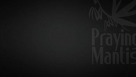 MGS PSP Wallpaper 2