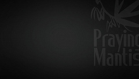 MGS PSP Wallpaper 2