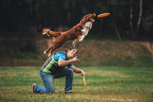 Border Collie Ru. Moscow, Russia