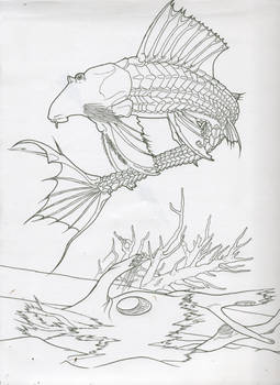 Pleco line art