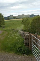 Scottish Countryside 004