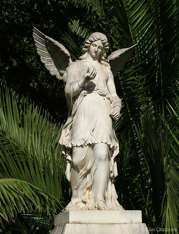 Angel