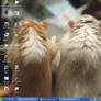 My Desktop