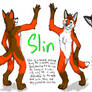 Slin Reference