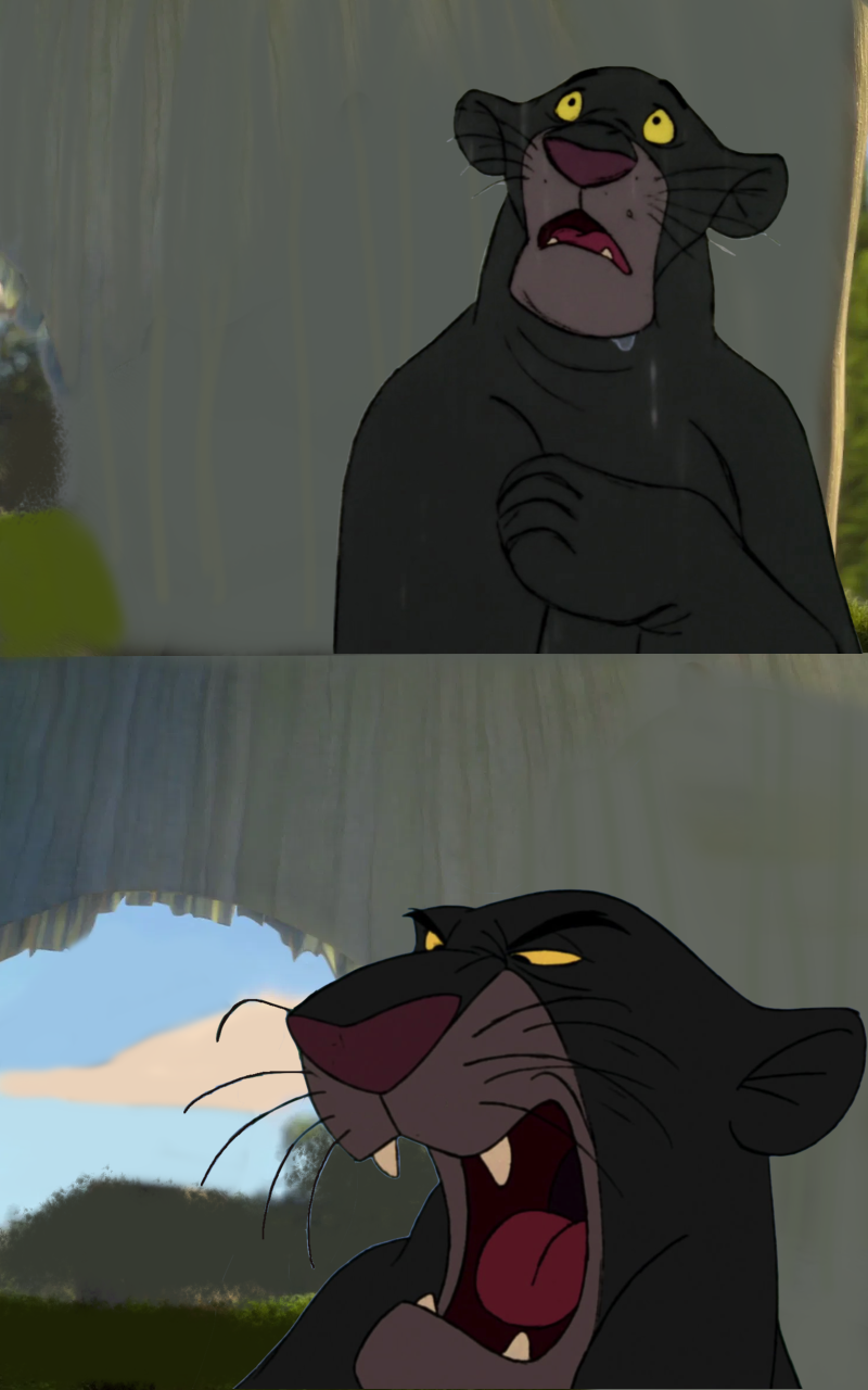 Bagee Rani Bagheera Meme by Baltofan95 on DeviantArt