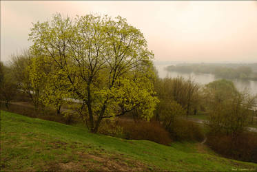 After spring rain