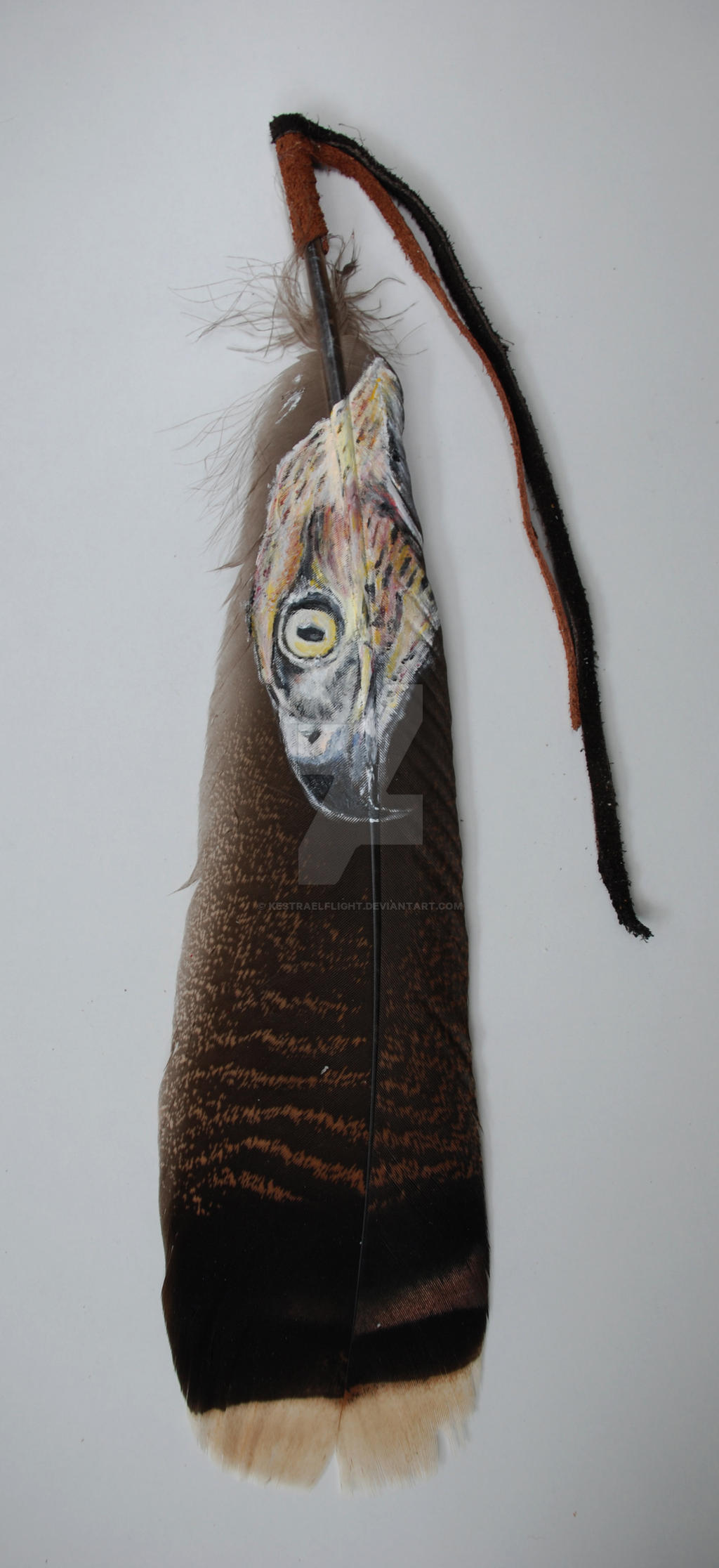 Hawk Feather Painting