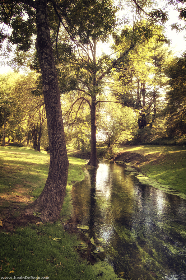 The Winding Stream