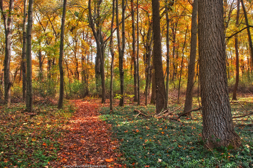 When Autumn Fills The Air