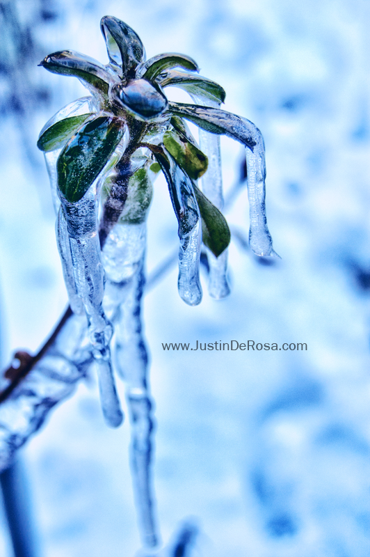 Frozen Tears