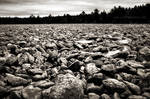 Valley Of Boulders by JustinDeRosa