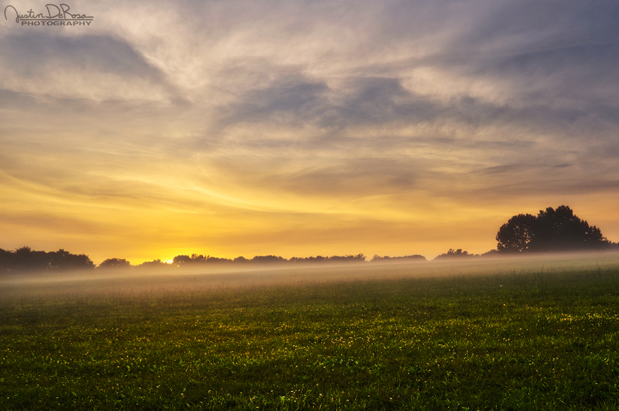 Piercing The Fog