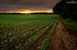 Rolling Fields by JustinDeRosa