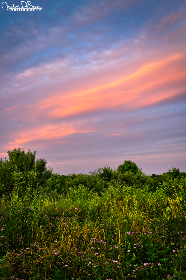 Taffy Skies